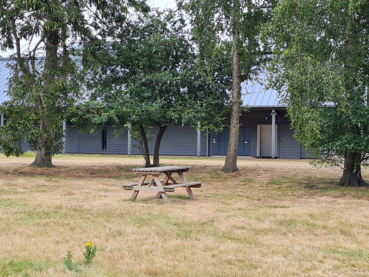 2024-06-30 21 Sutton Hoo.jpg