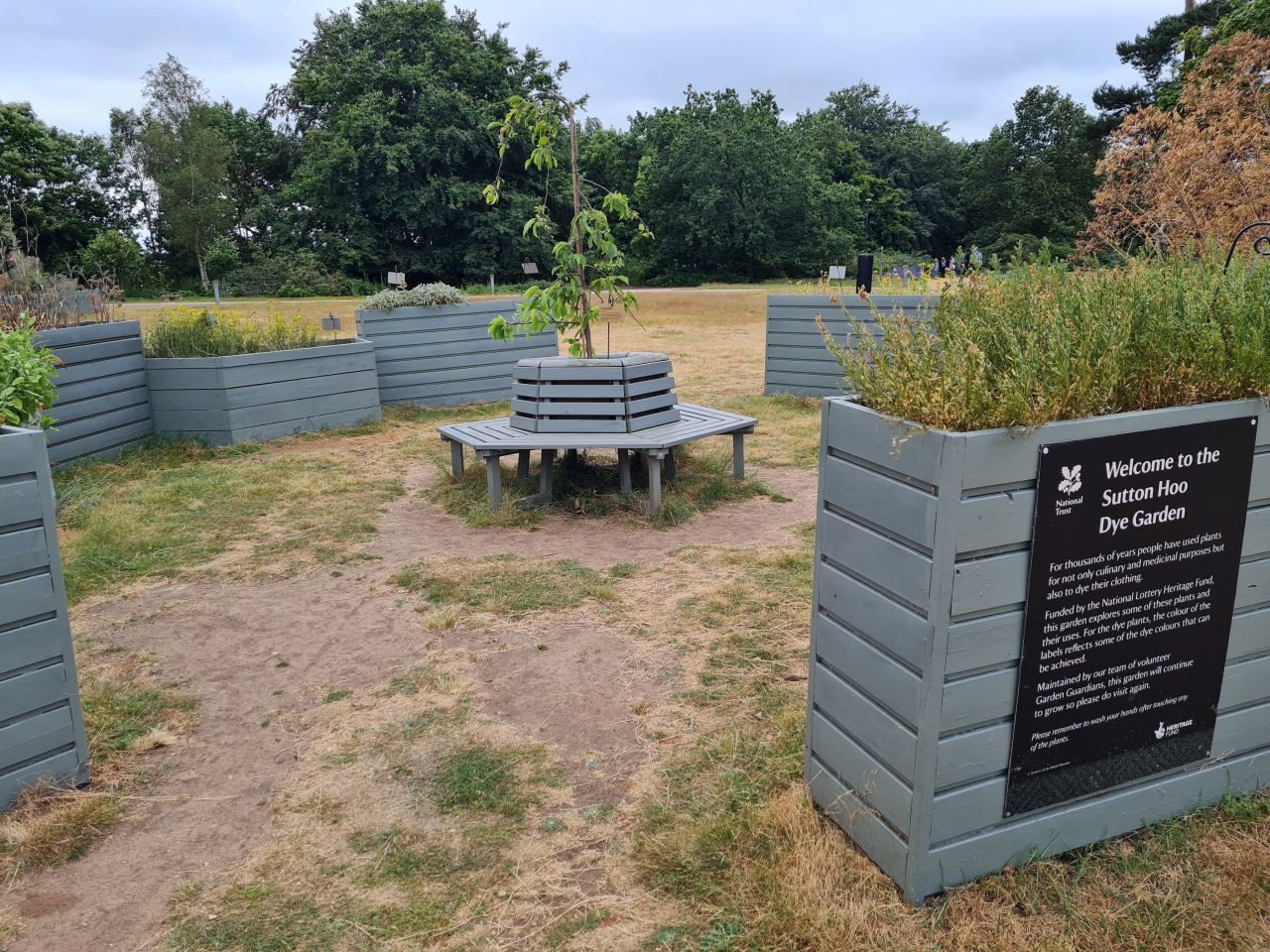 2024-06-30 26 Sutton Hoo.jpg