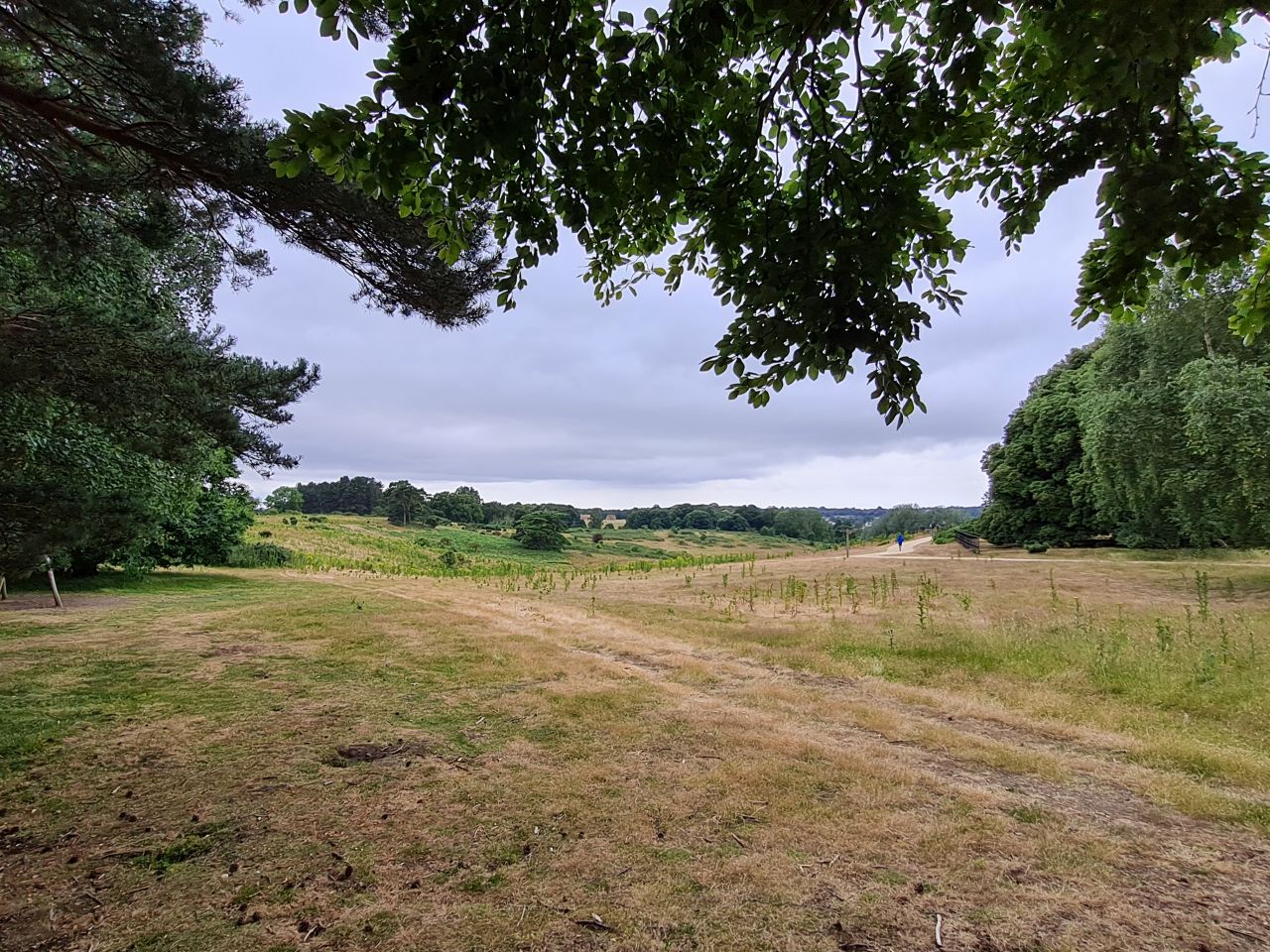 2024-06-30 28 Sutton Hoo.jpg