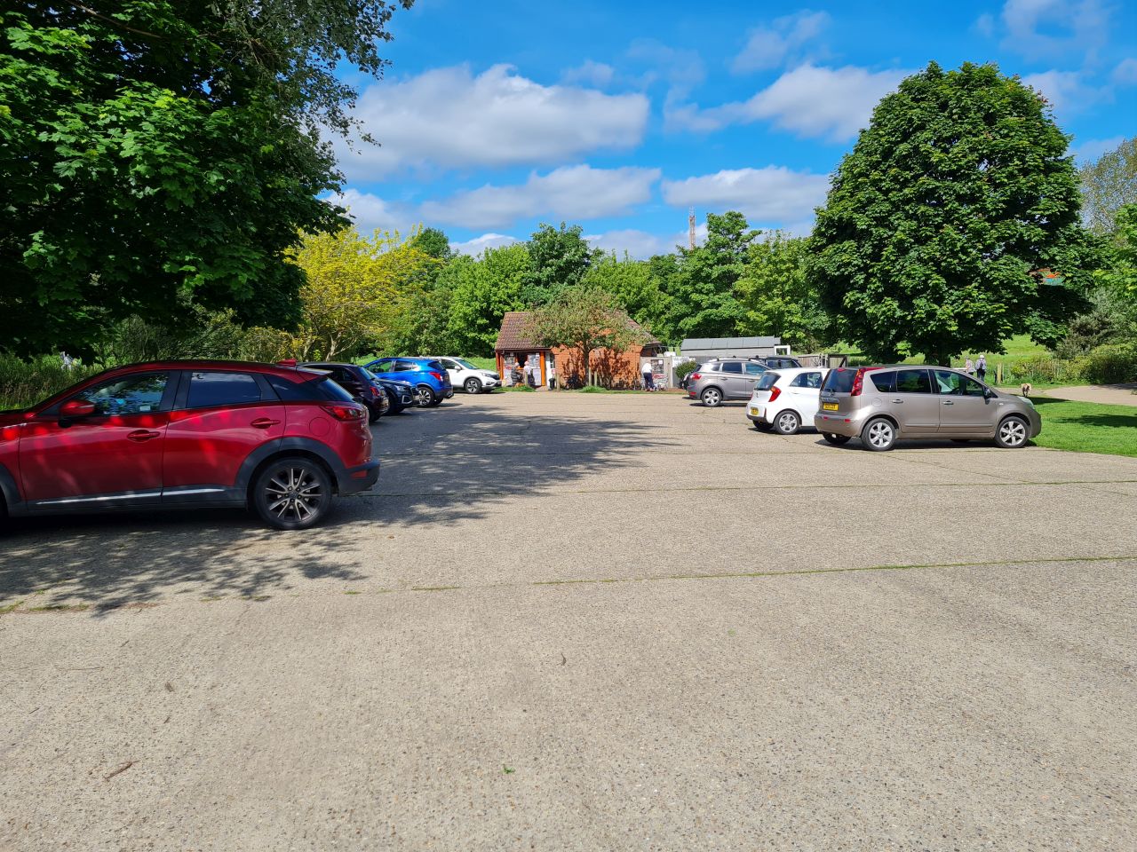 2024-05-24 01 Gunton and Corton.jpg