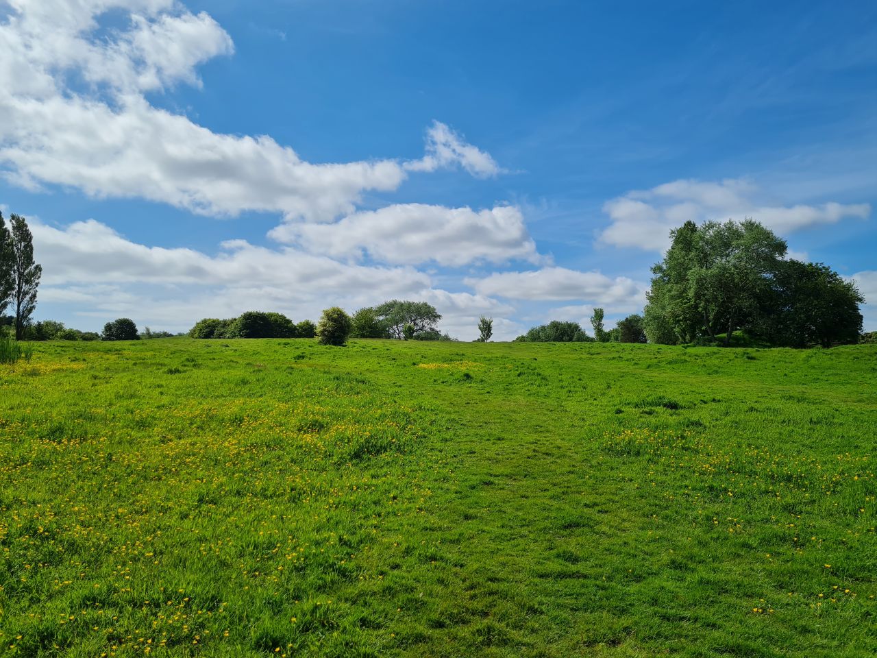 2024-05-24 06 Gunton and Corton.jpg