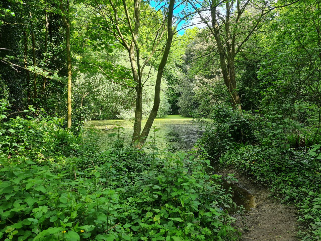 2024-05-24 09 Gunton and Corton.jpg