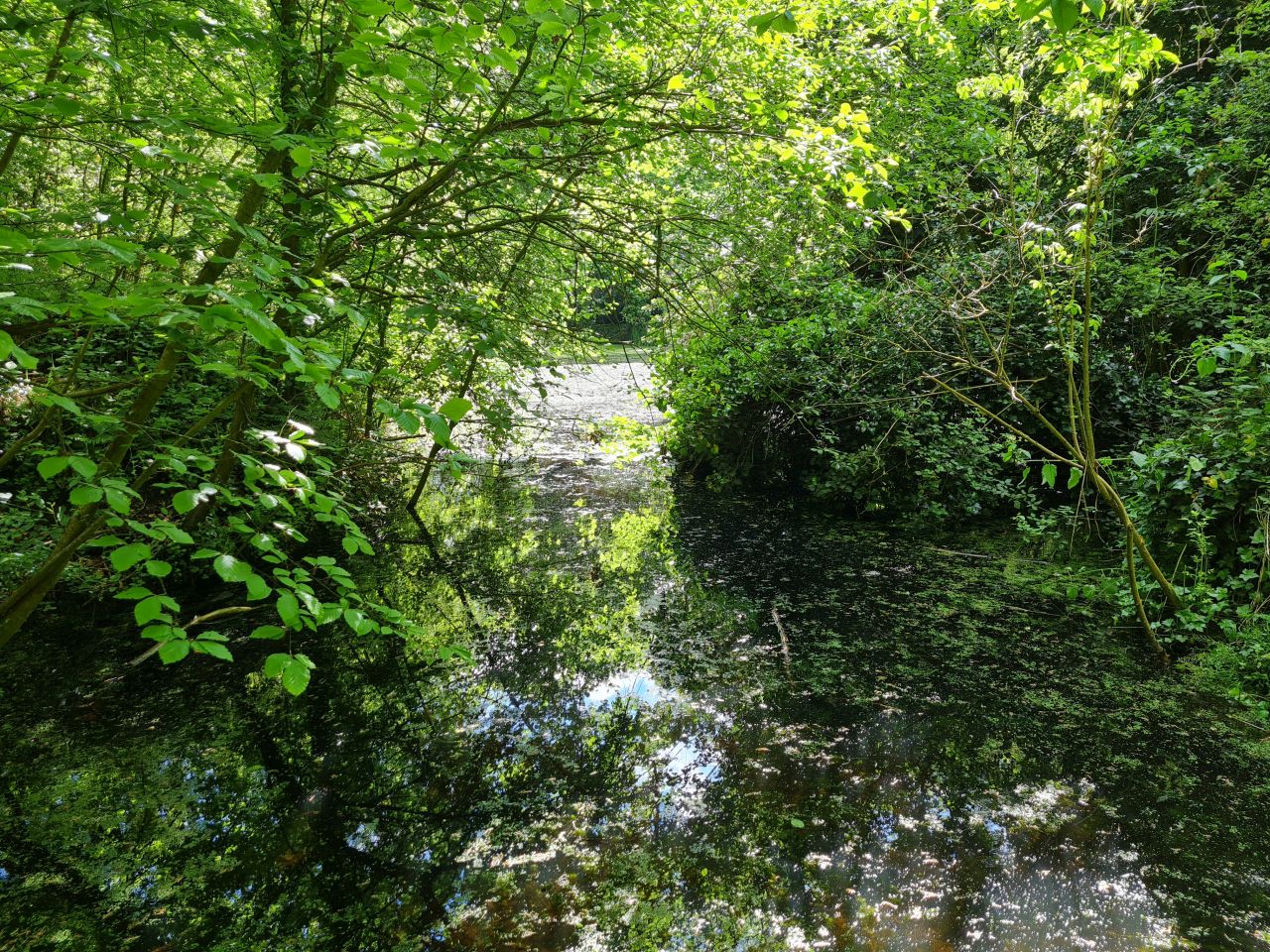 2024-05-24 10 Gunton and Corton.jpg