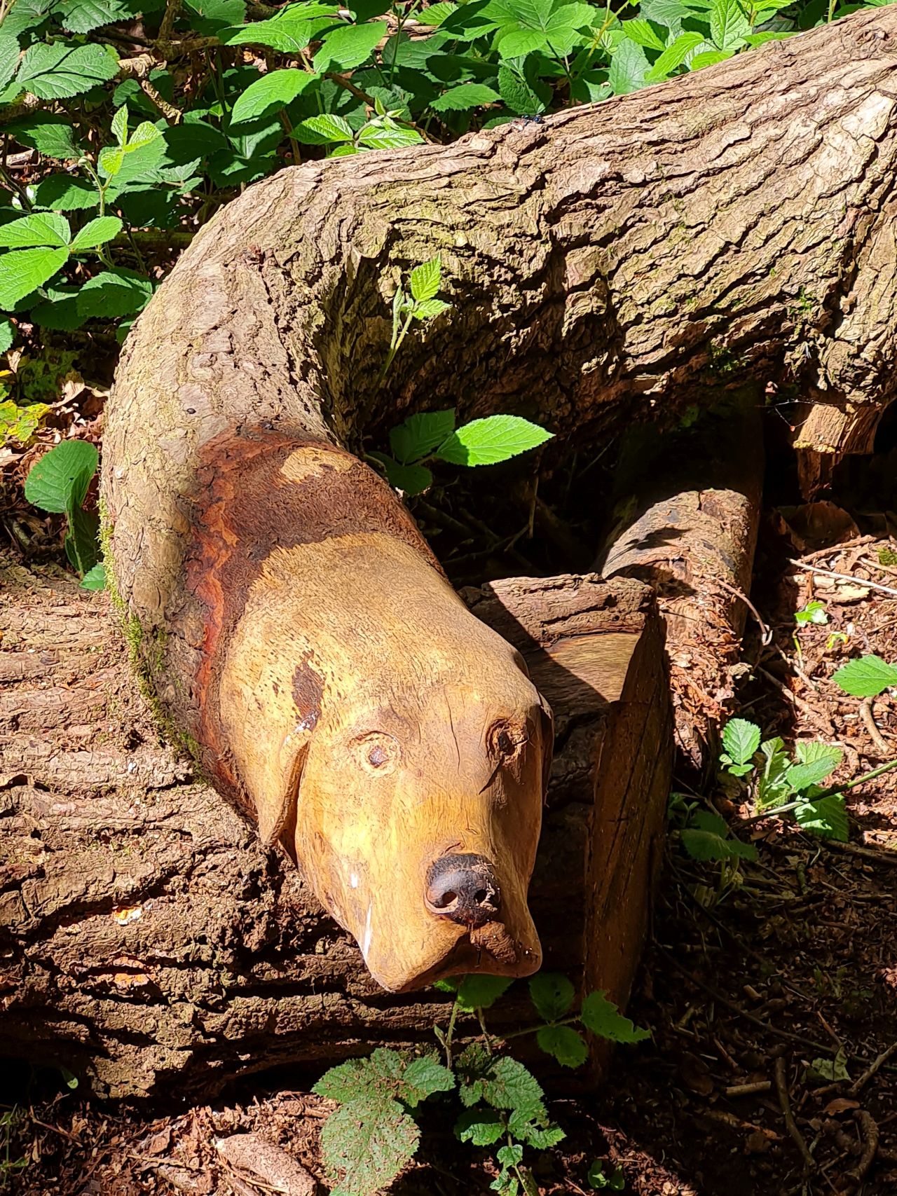 2024-05-24 12 Gunton and Corton.jpg