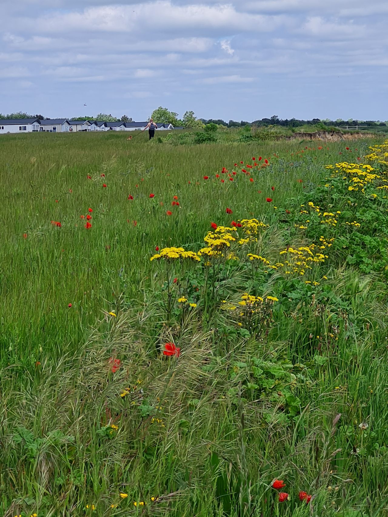 2024-05-24 23 Gunton and Corton.jpg