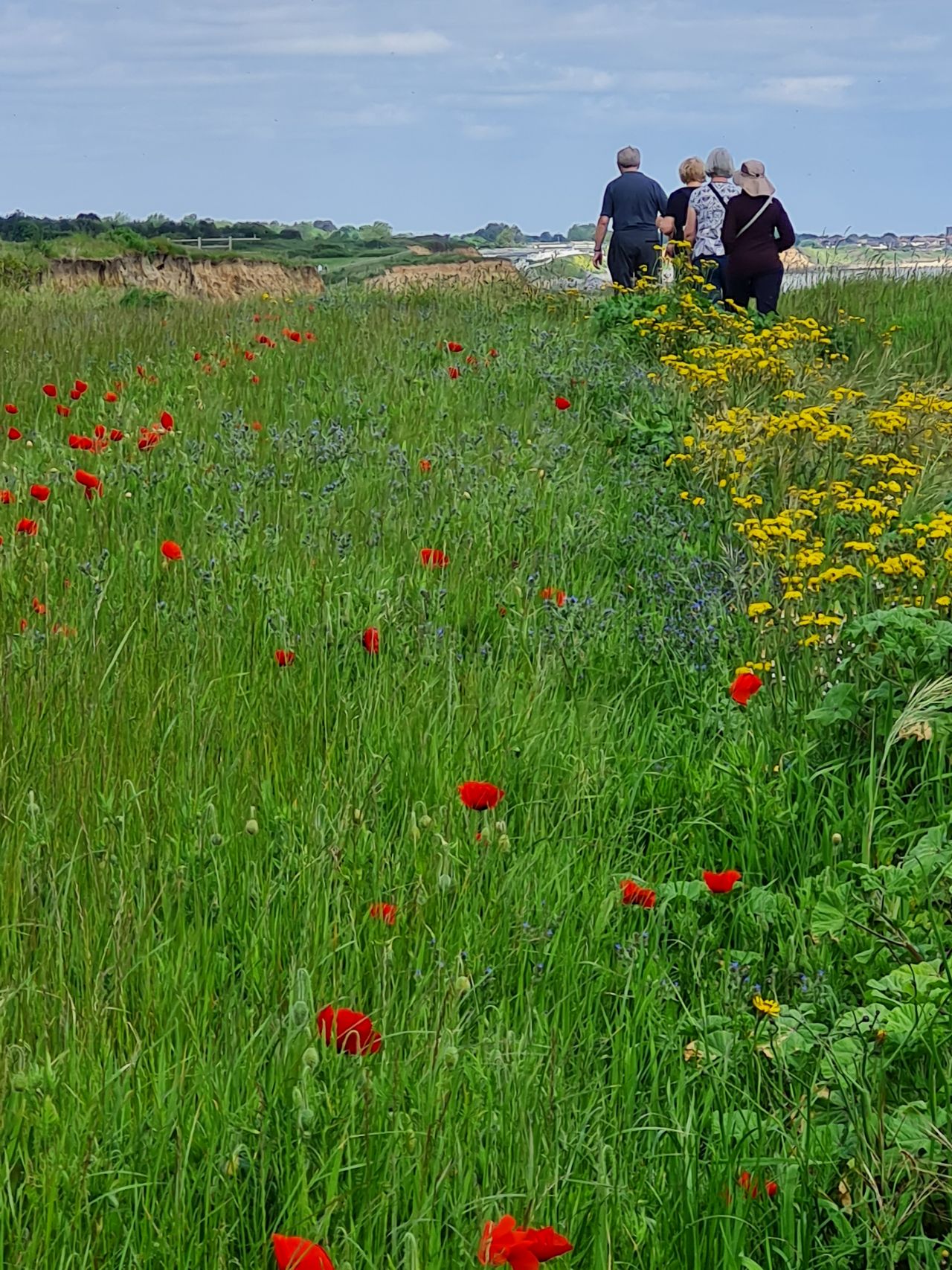 2024-05-24 25 Gunton and Corton.jpg