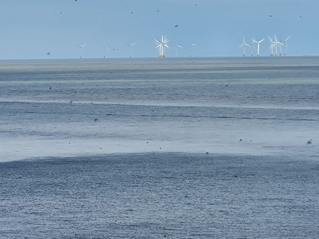 2024-05-24 26 Gunton and Corton.jpg