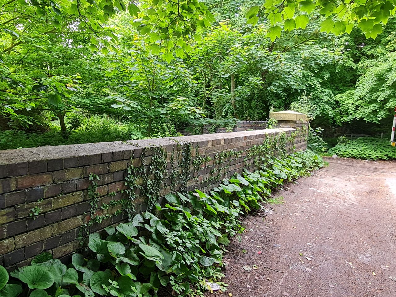 2024-05-24 30 Gunton and Corton.jpg