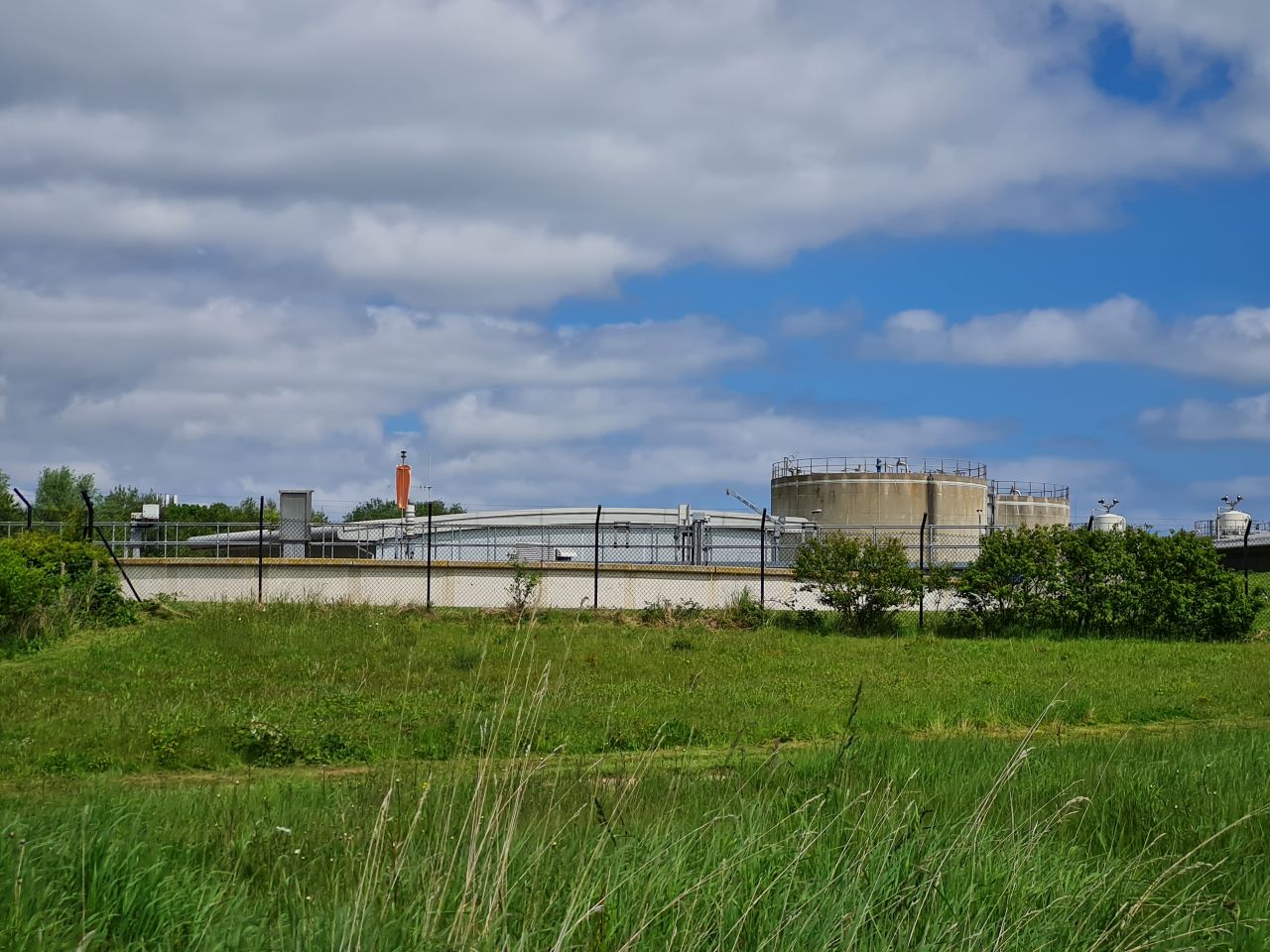 2024-05-24 33 Gunton and Corton.jpg