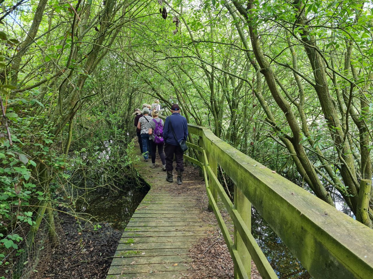 2024-05-24 34 Gunton and Corton.jpg