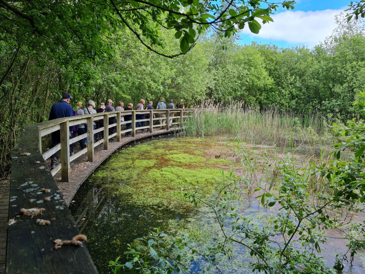 2024-05-24 35 Gunton and Corton.jpg