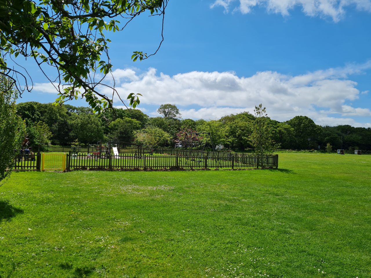 2024-05-24 37 Gunton and Corton.jpg