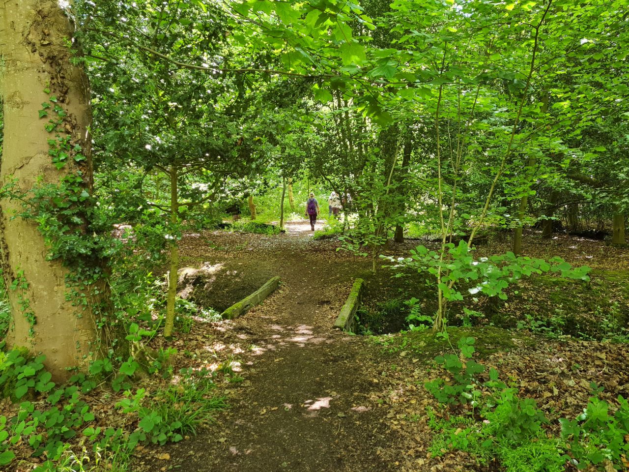 2024-05-24 39 Gunton and Corton.jpg