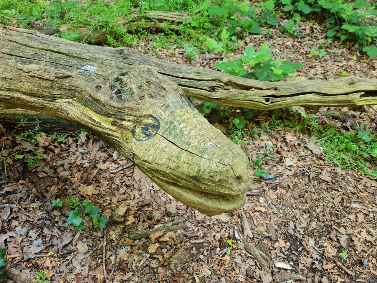 2024-05-24 40 Gunton and Corton.jpg