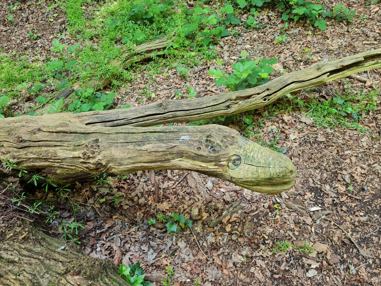 2024-05-24 41 Gunton and Corton.jpg