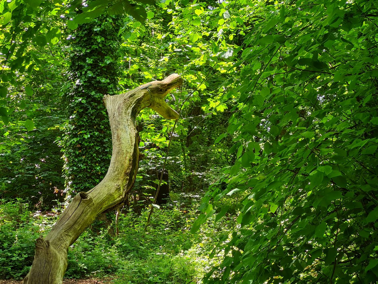 2024-05-24 42 Gunton and Corton.jpg