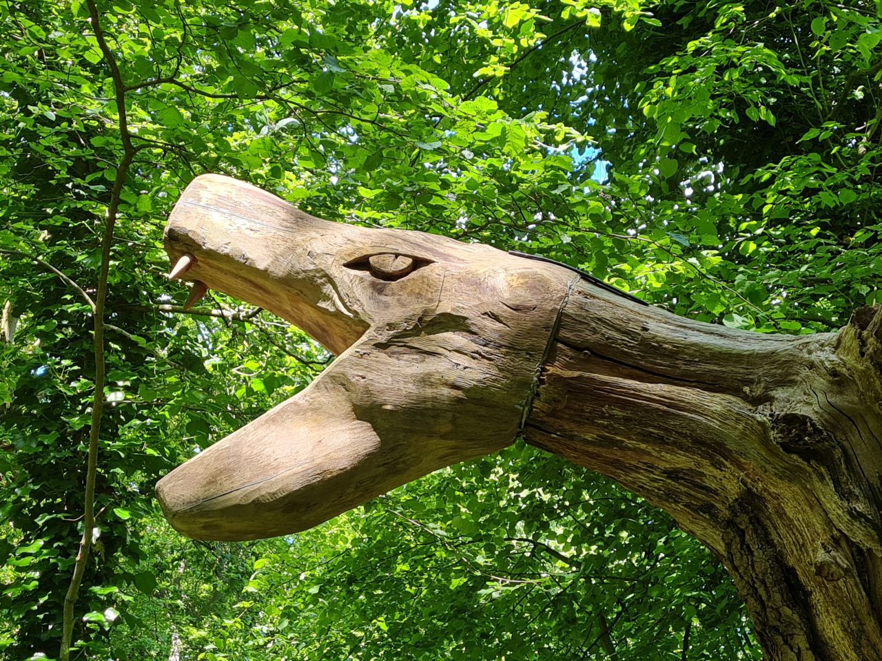 2024-05-24 43 Gunton and Corton.jpg