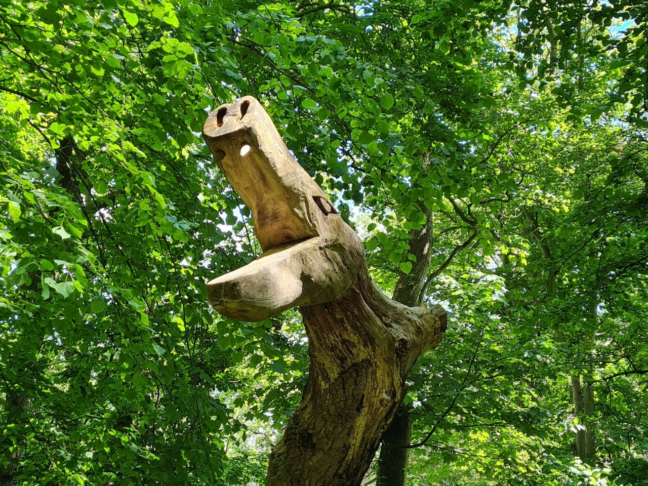 2024-05-24 44 Gunton and Corton.jpg