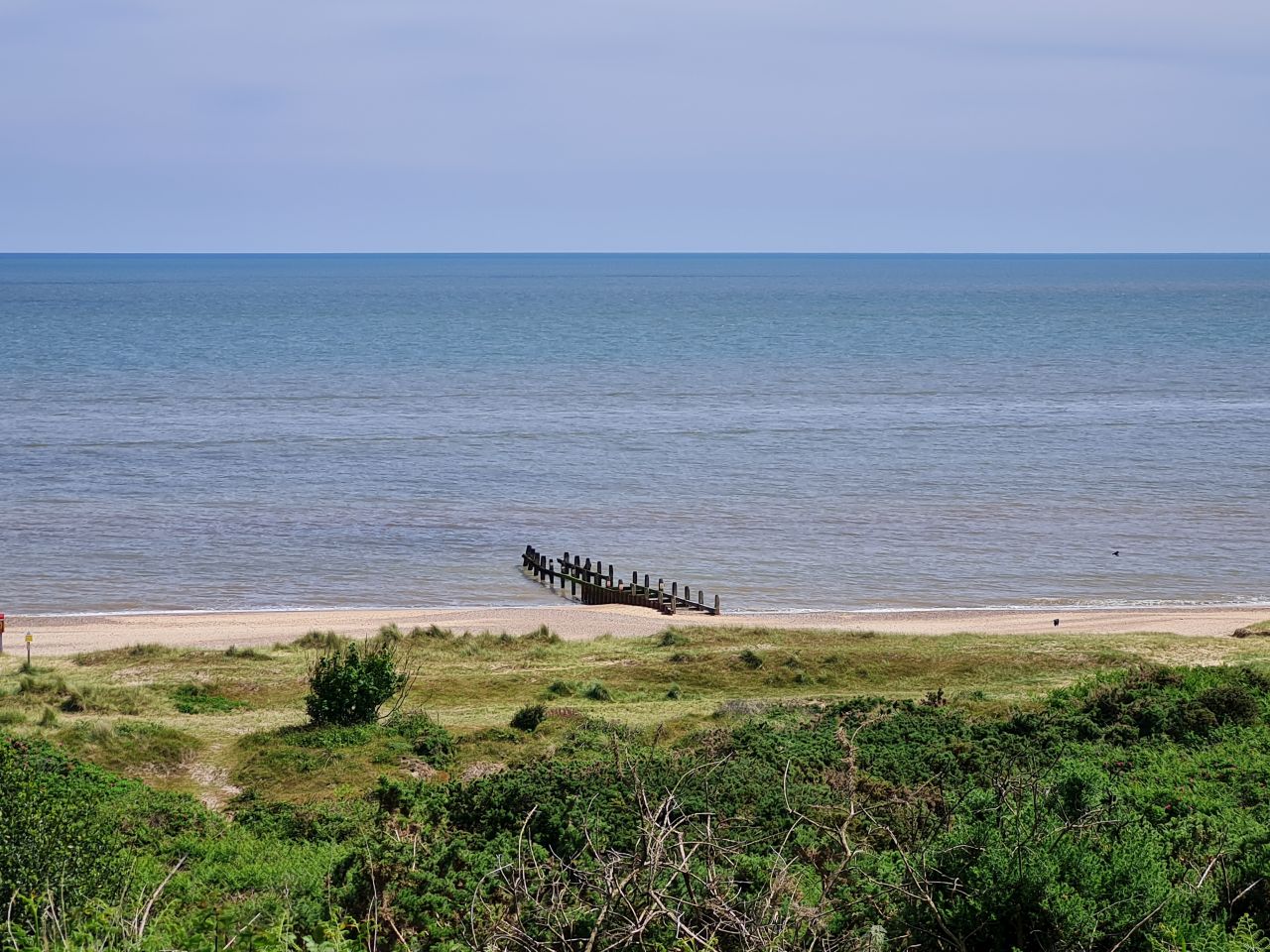 2024-05-24 46 Gunton and Corton.jpg