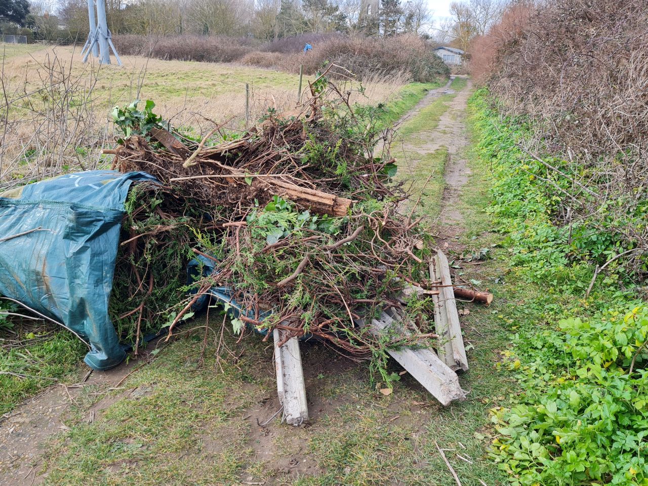 2025-02-21 29 Dip Farm Gunton and Corton.jpg