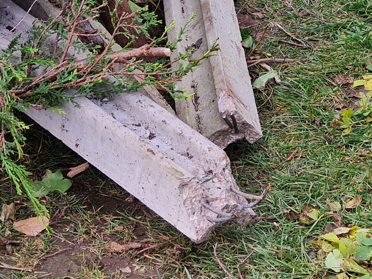 2025-02-21 30 Dip Farm Gunton and Corton.jpg