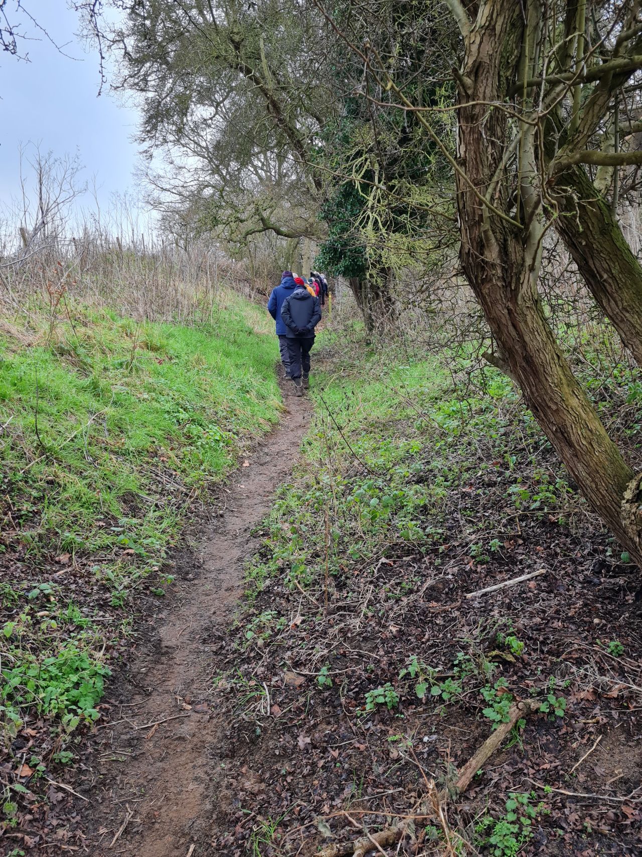 2025-02-08 06 Suffolk Area Ramblers AGM.jpg