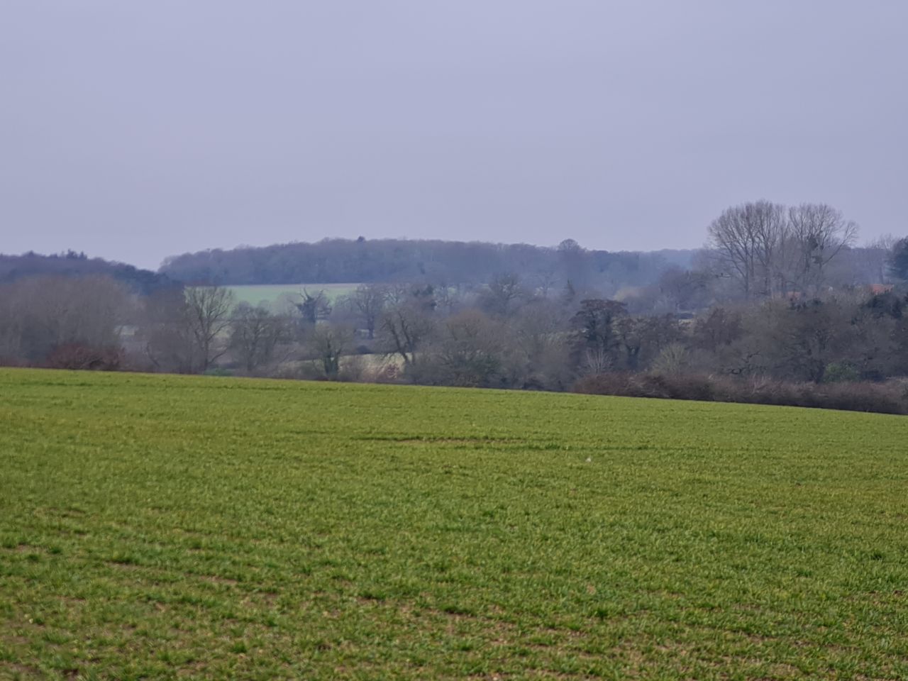 2025-02-08 08 Suffolk Area Ramblers AGM.jpg
