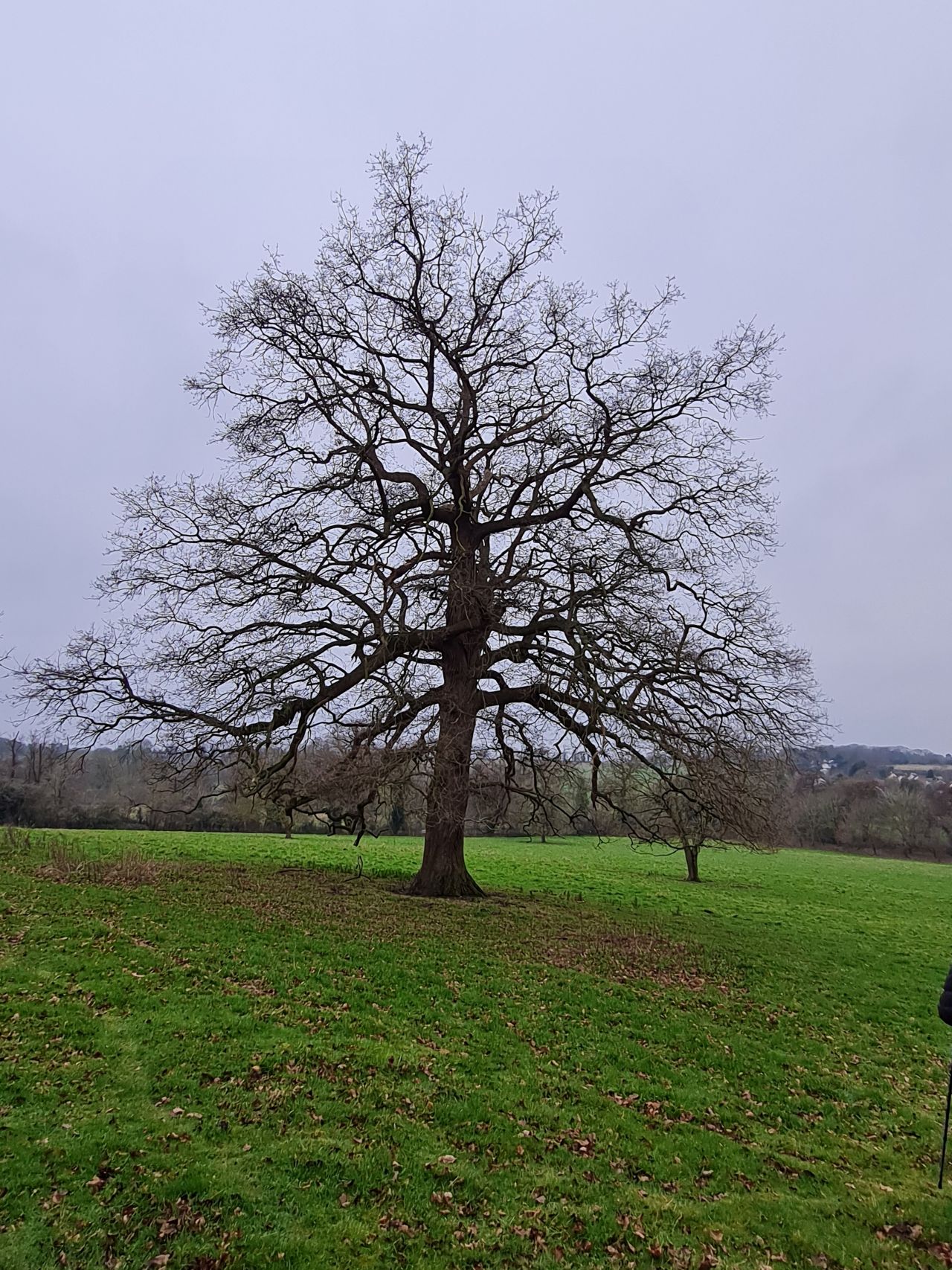 2025-02-08 10 Suffolk Area Ramblers AGM.jpg