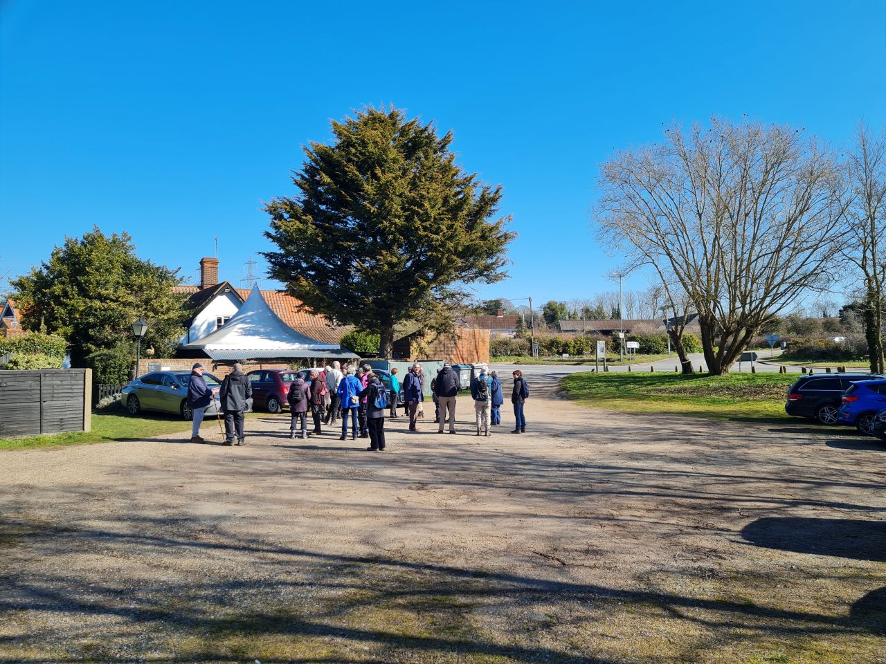 2025-03-19 01 Aldringham Parrot.jpg