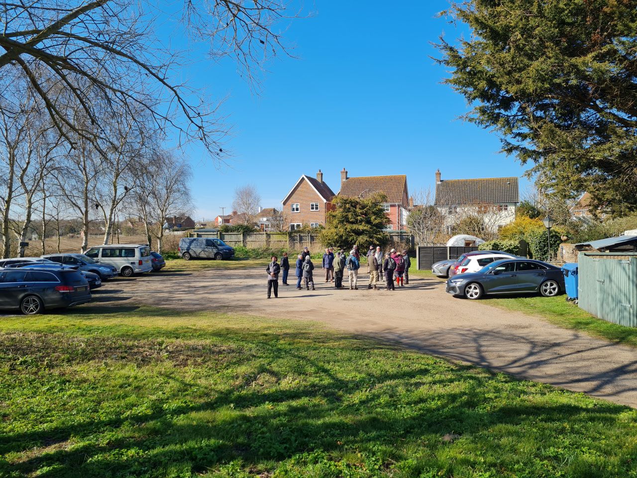 2025-03-19 03 Aldringham Parrot.jpg