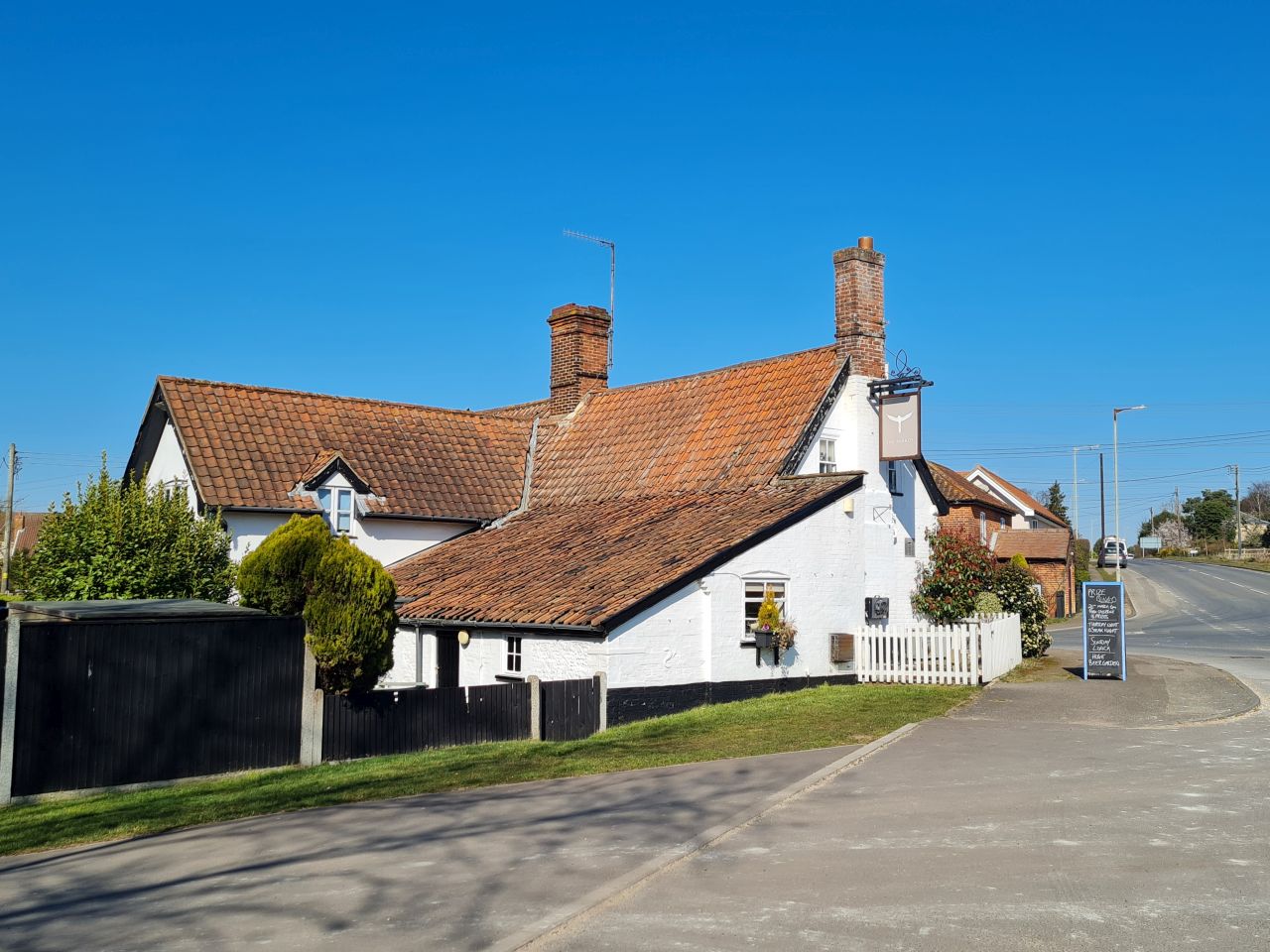 2025-03-19 04 Aldringham Parrot.jpg