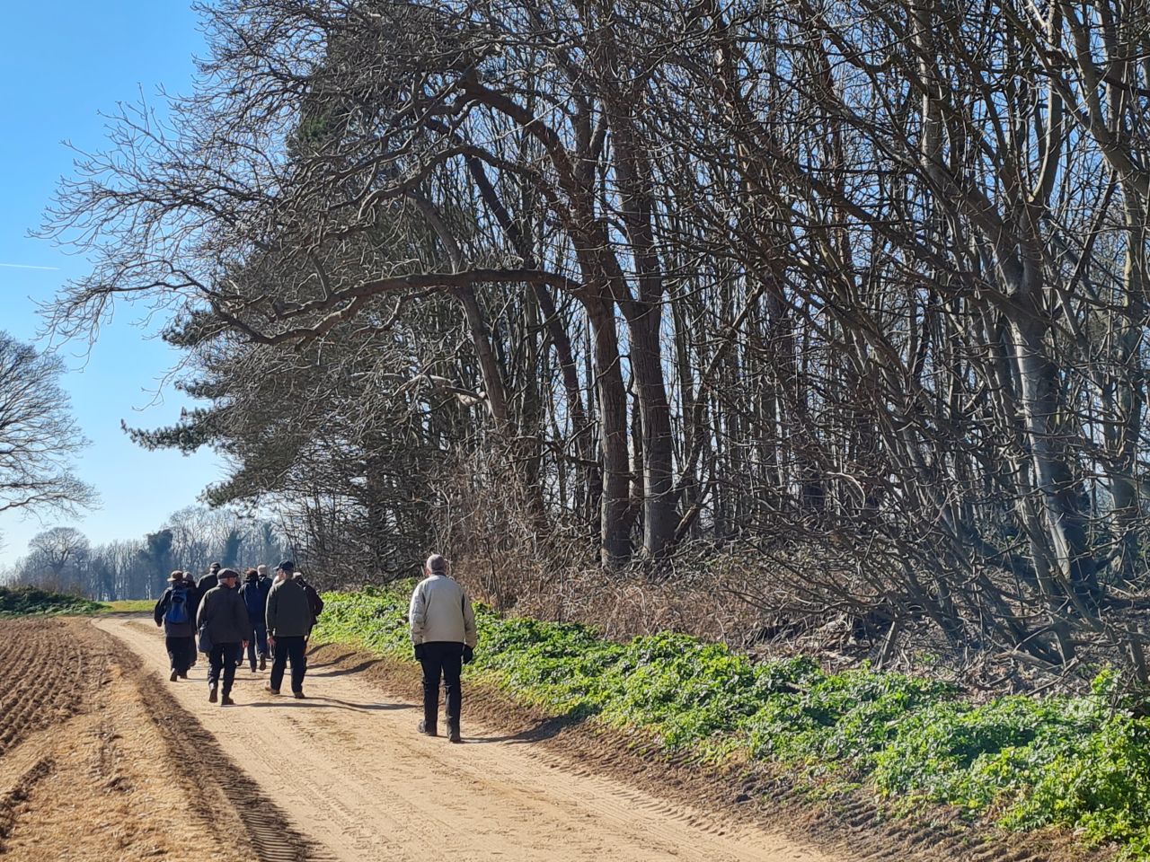 2025-03-19 07 Aldringham Parrot.jpg