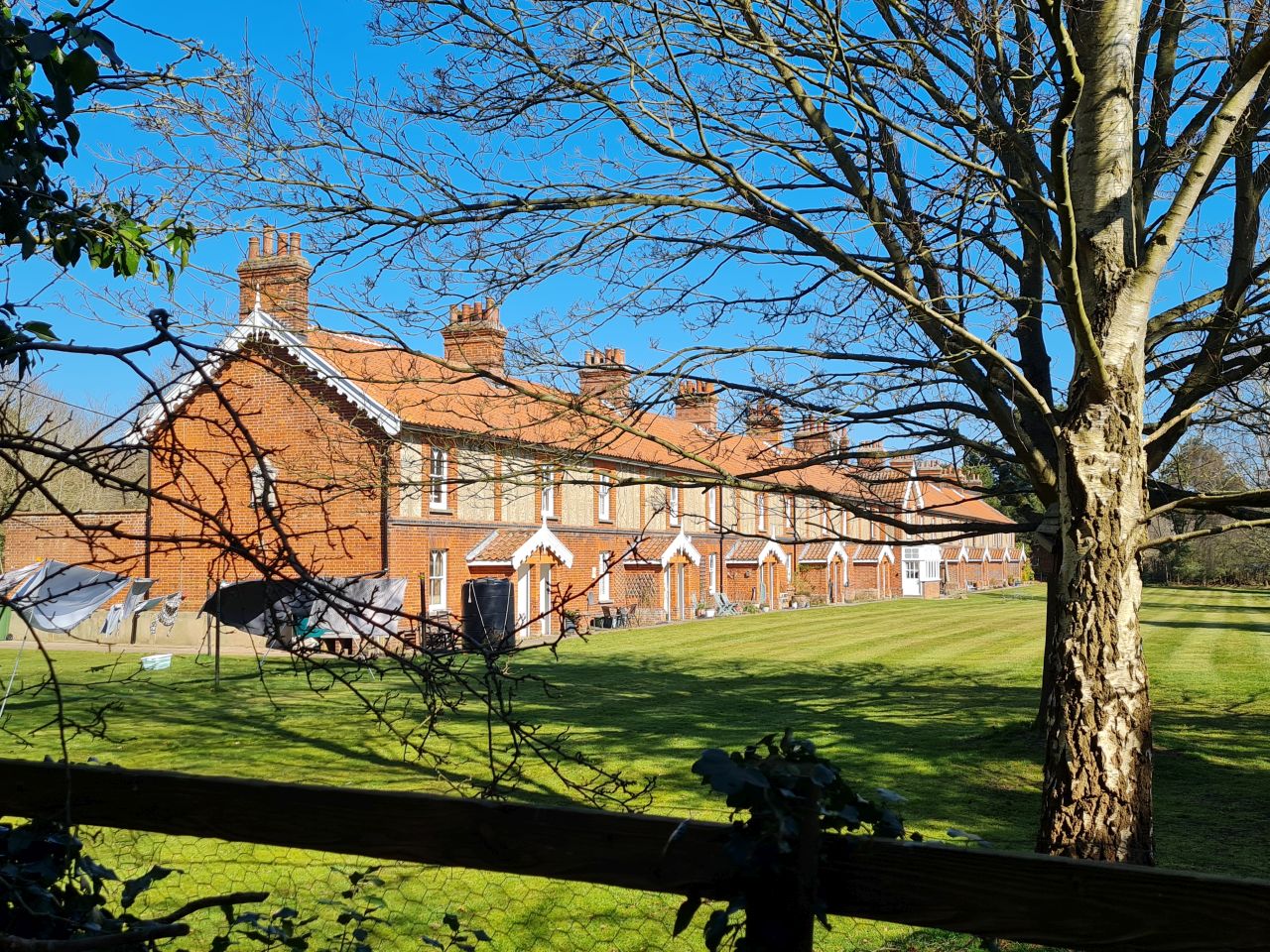 2025-03-19 20 Aldringham Parrot.jpg