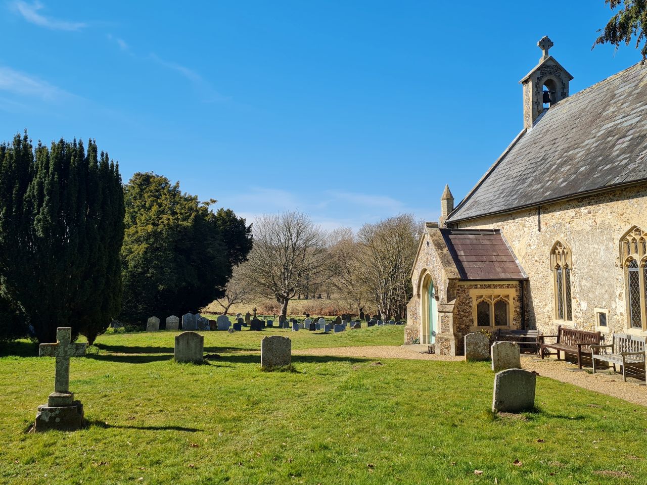 2025-03-19 22 Aldringham Parrot.jpg