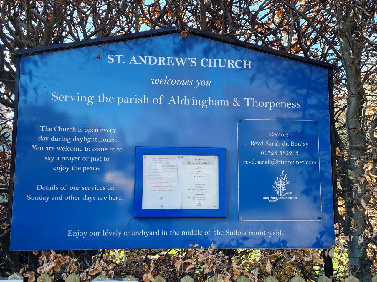 2025-03-19 24 Aldringham Parrot.jpg