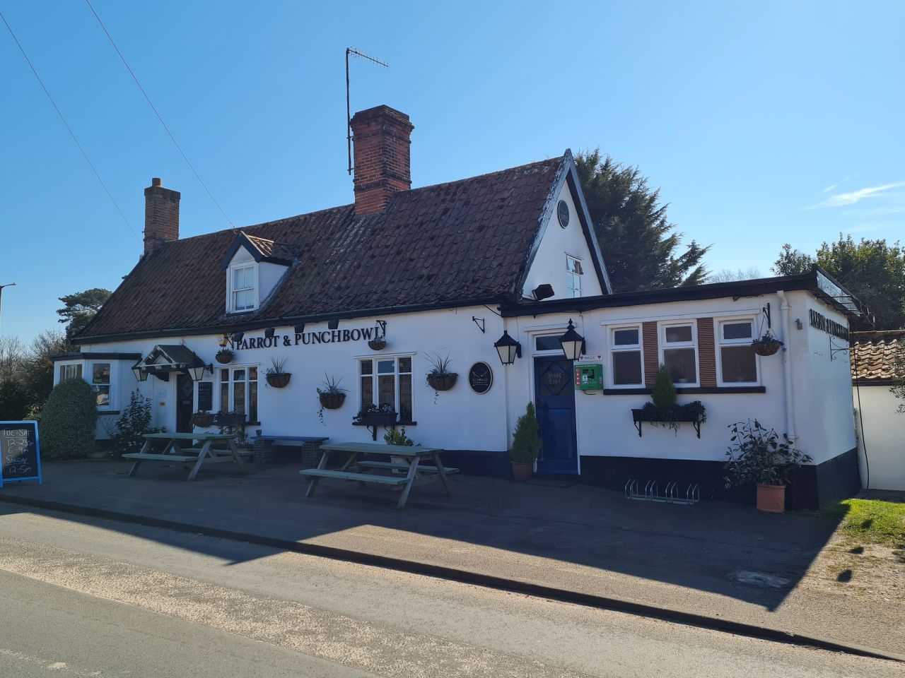 2025-03-19 26 Aldringham Parrot.jpg