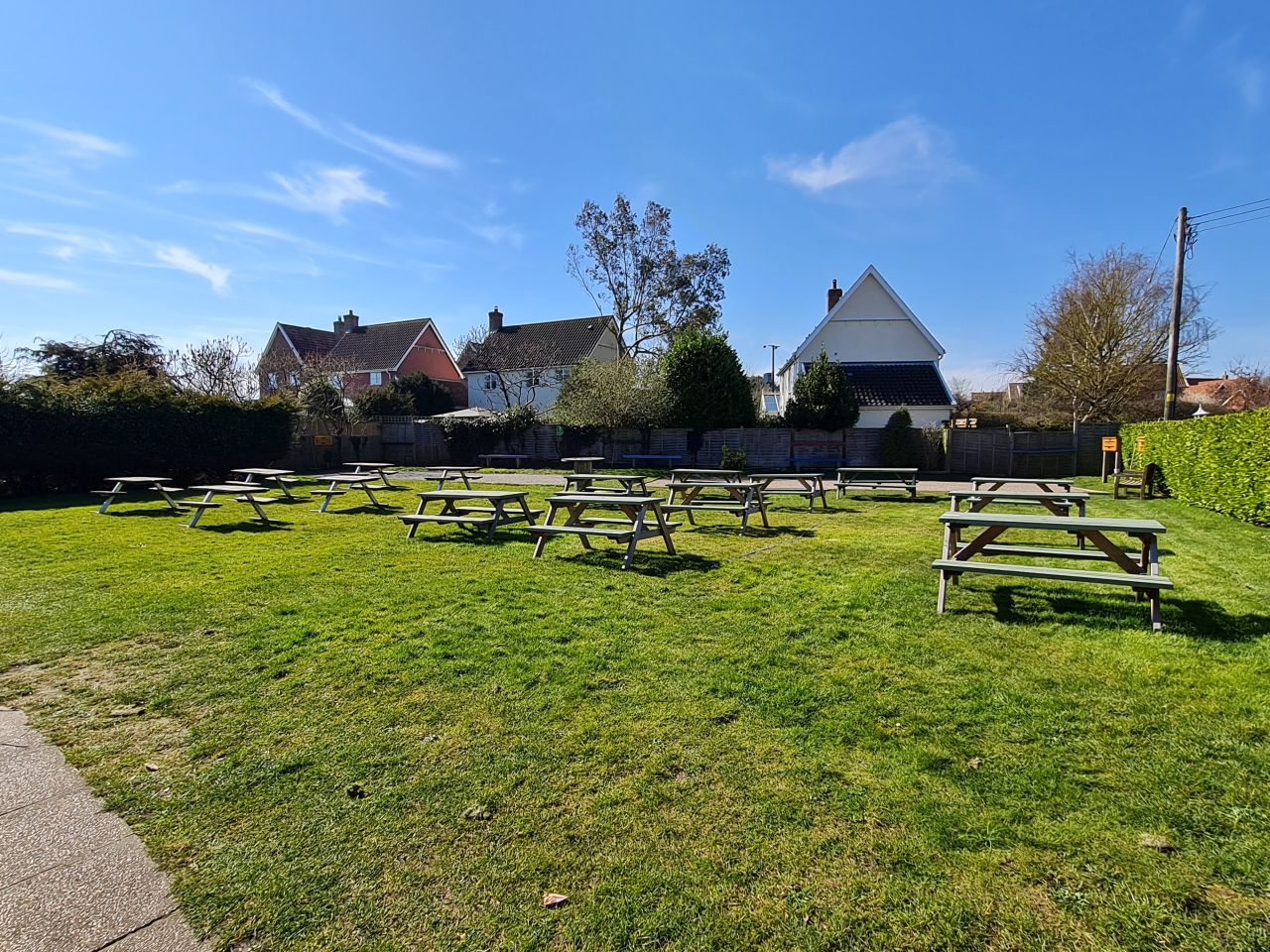 2025-03-19 27 Aldringham Parrot.jpg