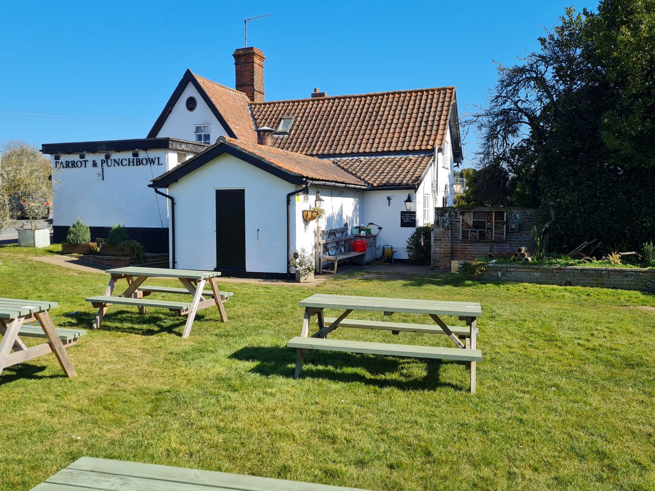 2025-03-19 28 Aldringham Parrot.jpg