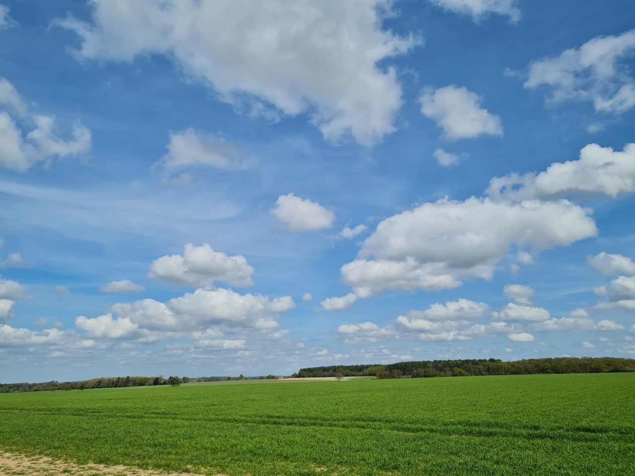 2025-04-14 25 Wattisfield.jpg