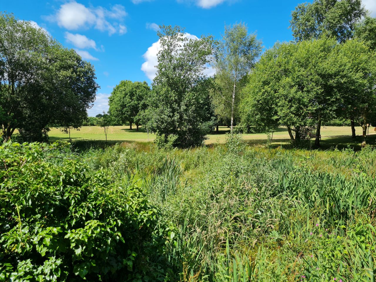 2025-06-27 06 Blundeston.jpg