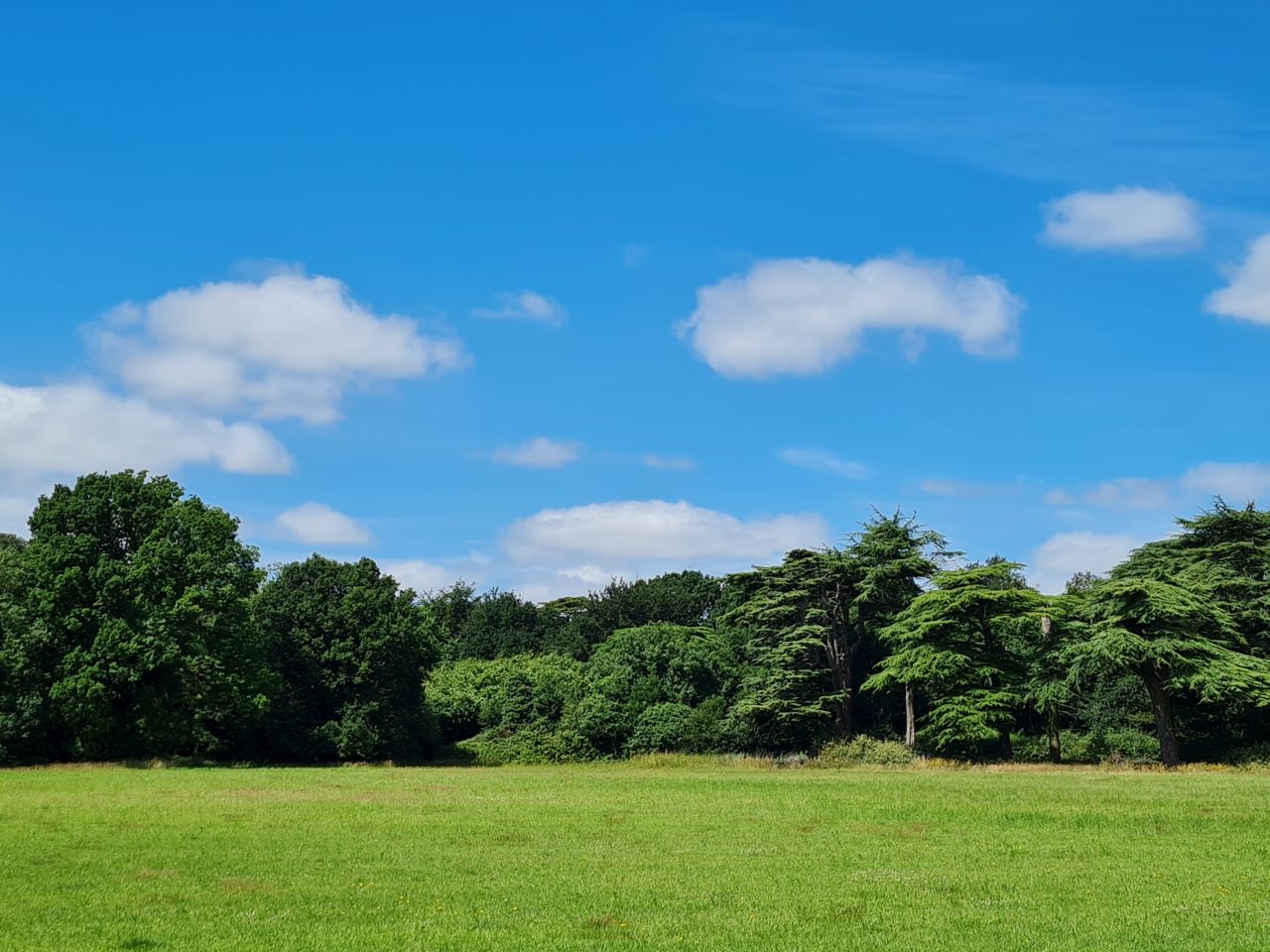 2025-06-27 10 Blundeston.jpg