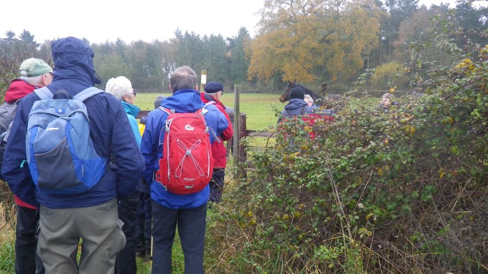 2017-12-03 02 Billingford Area.jpg