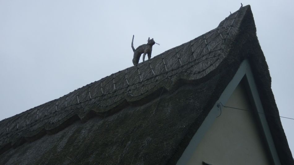 2017-12-03 07 Billingford Area.jpg