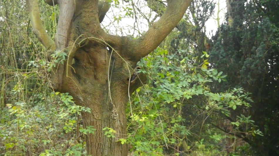 2017-12-03 20 Billingford Area.jpg