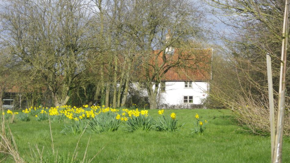 2020-03-08 05 Billingford Eye and Dove.jpg