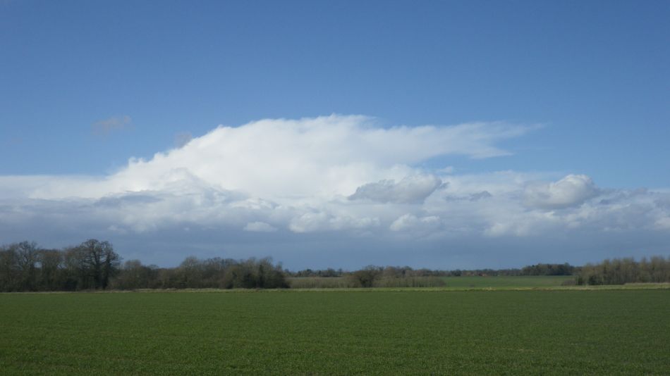 2020-03-08 08 Billingford Eye and Dove.jpg