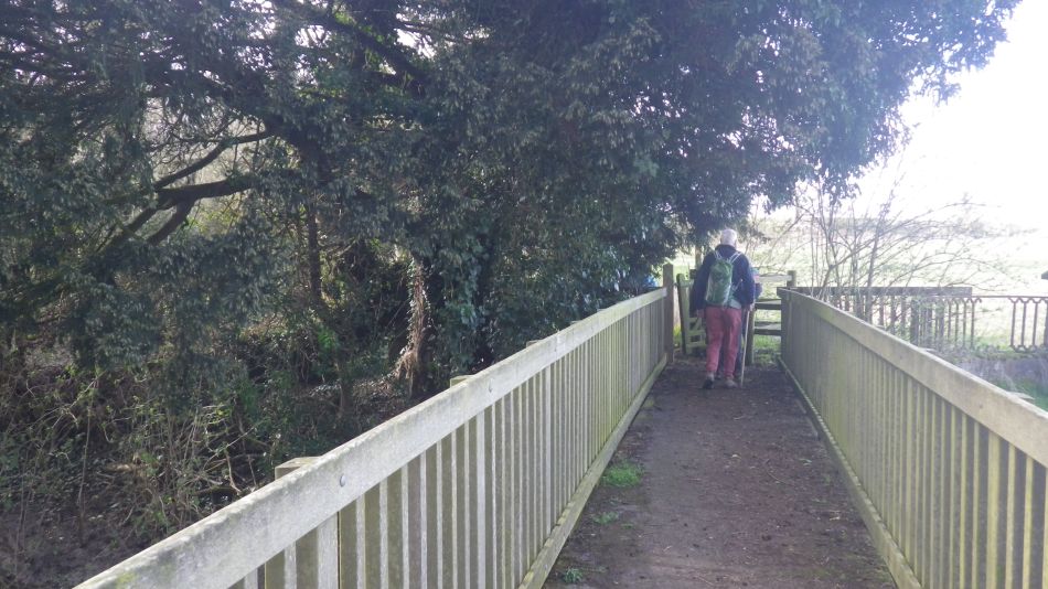 2020-03-08 15 Billingford Eye and Dove.jpg