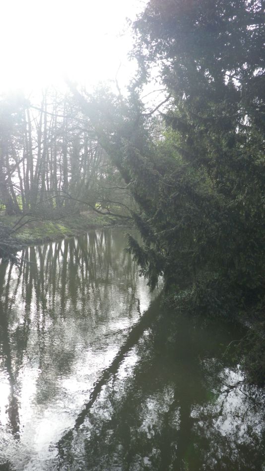 2020-03-08 16 Billingford Eye and Dove.jpg