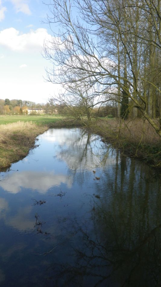 2020-03-08 17 Billingford Eye and Dove.jpg