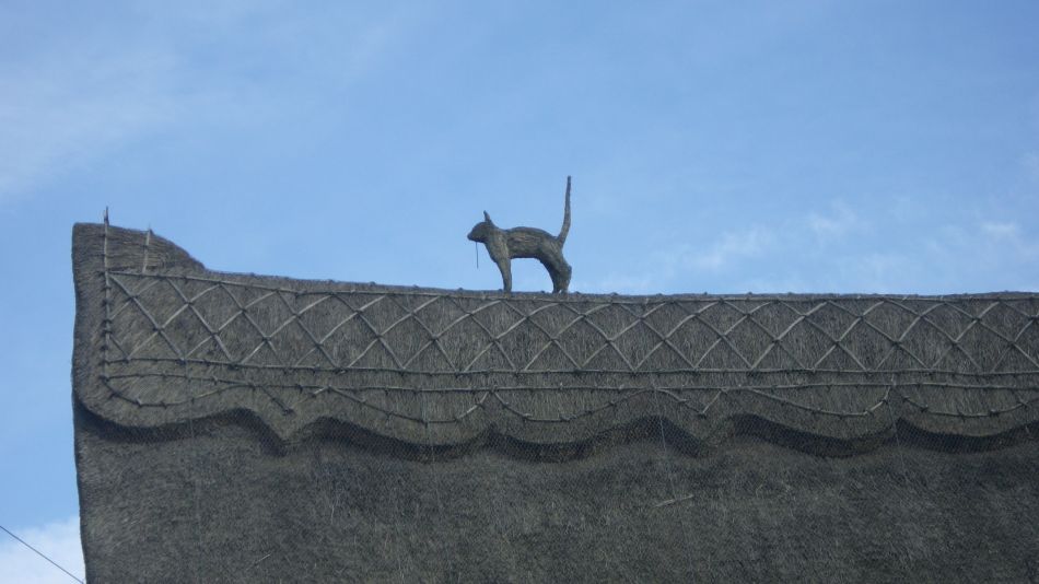 2020-03-08 18 Billingford Eye and Dove.jpg